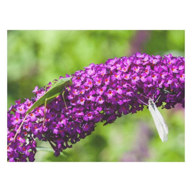 katydid energy tablecloth (Front (Horizontal))