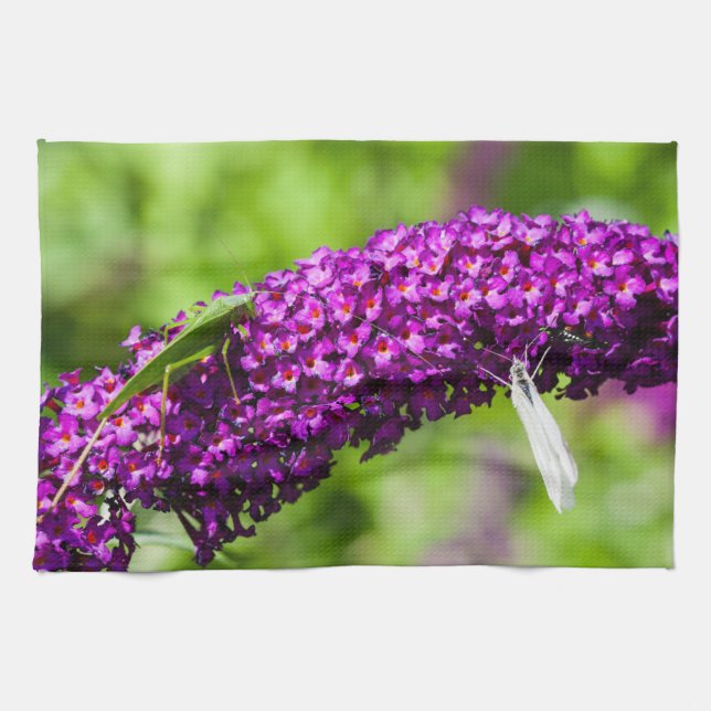 katydid energy tea towel (Horizontal)