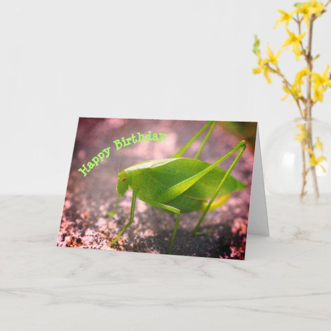 Katydid Grasshopper Nature Birthday  Card (Yellow Flower)