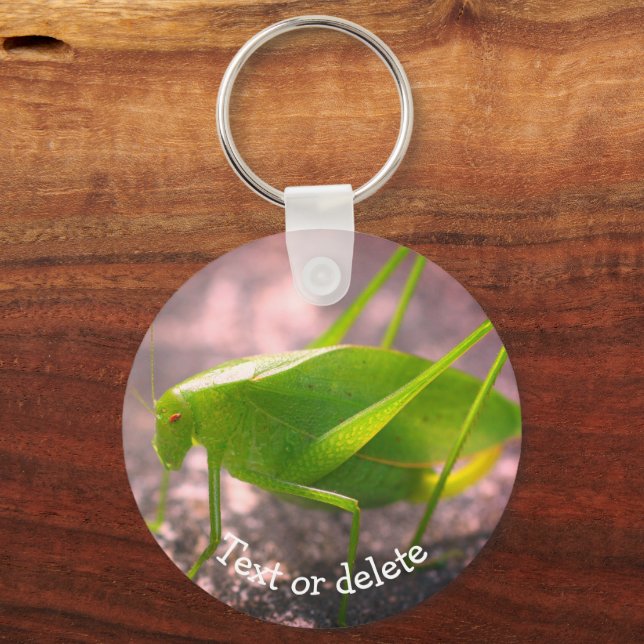 Katydid Grasshopper Nature Personalised Key Ring (Front)
