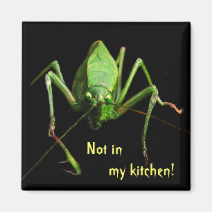 Katydid in the Kitchen Magnet