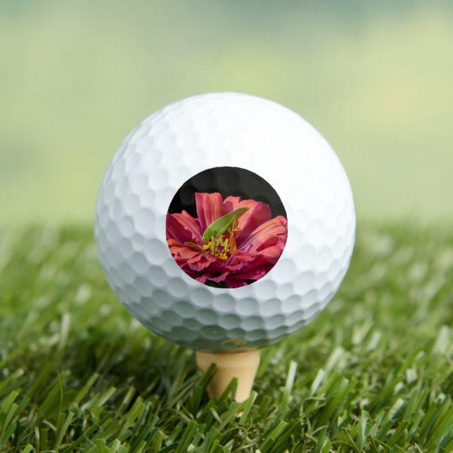 Katydid on Zinnia Golf Balls (Insitu Tee)