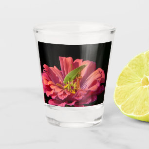 Katydid on Zinnia Shot Glass