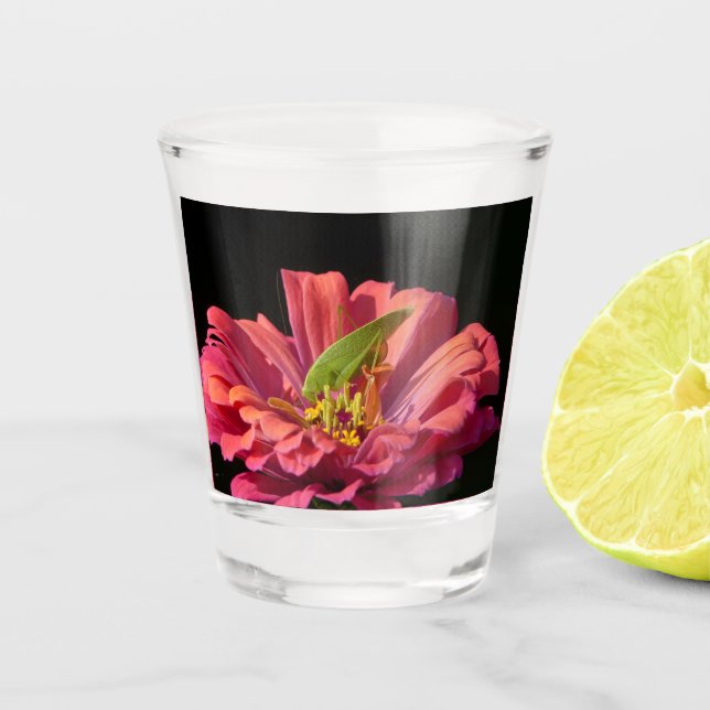 Katydid on Zinnia Shot Glass (Front)