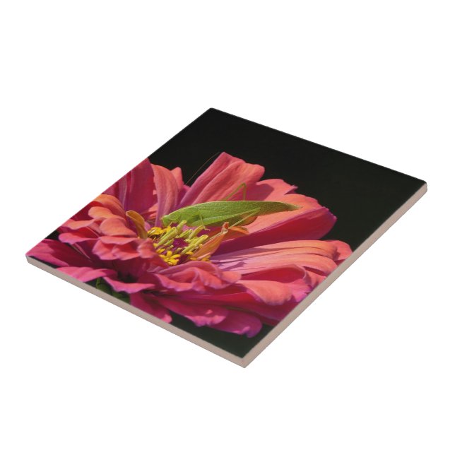 Katydid on Zinnia Tile (Side)