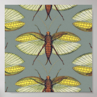 Katydid Poster