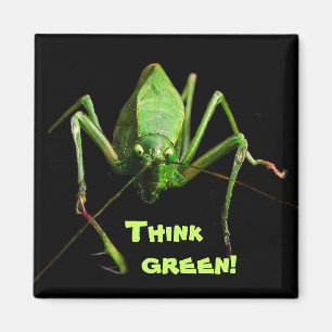 Katydid Think Green Magnet