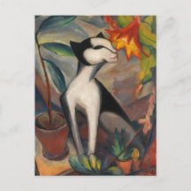 Katze mit Kakteenblute by Maetzel-Johannsen