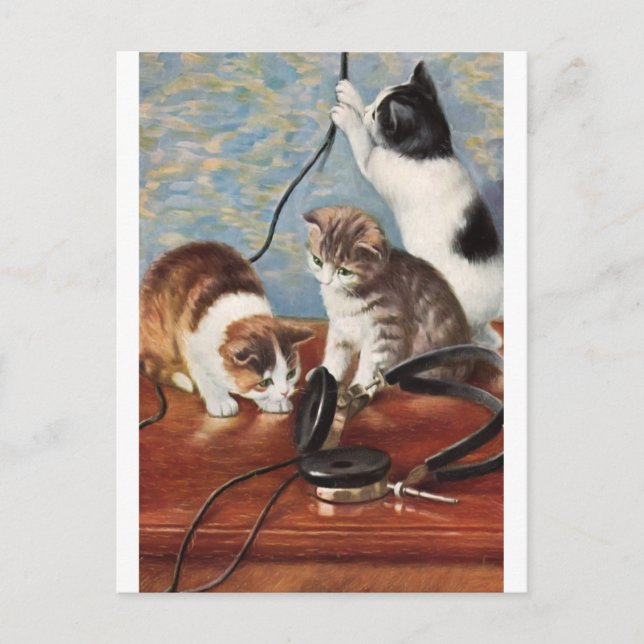 Katze Vintage Postcard (Front)