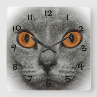 Katzenaugen Square Wall Clock