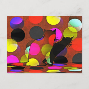 Katzenkarte Postcard