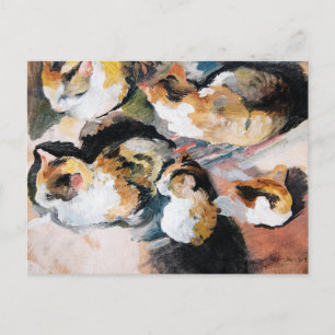 Katzenstudien (Study of a Cat) 1909 Holiday Postcard