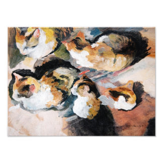 Katzenstudien (Study of a Cat) 1909 Photo Print