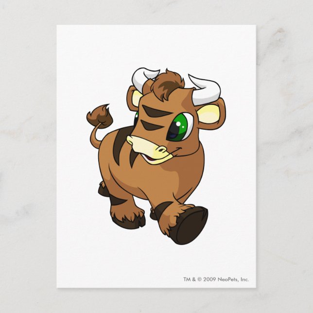 Kau Brown Postcard (Front)
