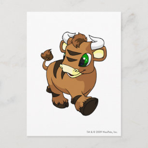 Kau Brown Postcard