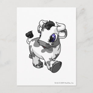 Kau Spotted Postcard