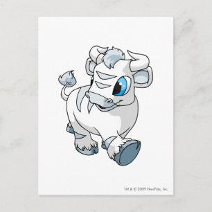 Kau White Postcard