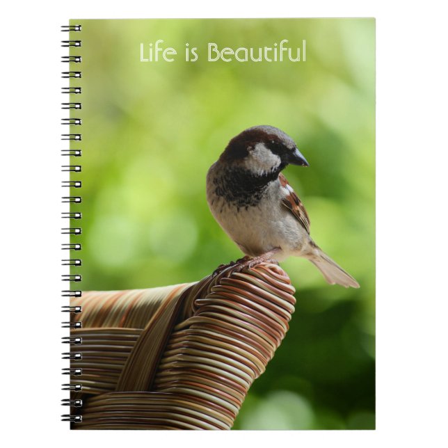 Kauai Hawaii Bird (my photography) Notebook (Front)
