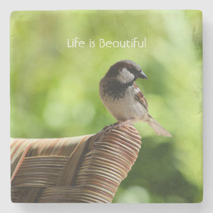 Kauai Hawaii Bird (my photography) Stone Coaster