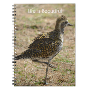 Kauai Hawaii Bird on One Leg (my photography) Notebook