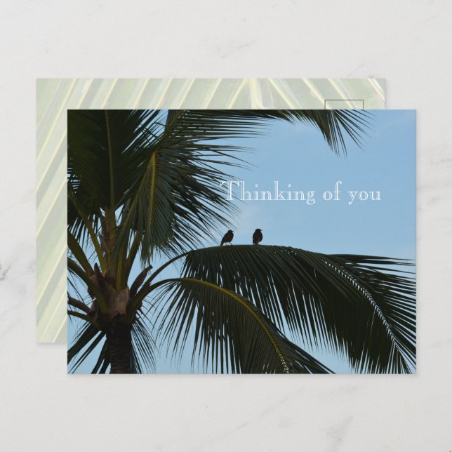 Kauai Hawaii Birds in Palm Tree Postcard (Front/Back)