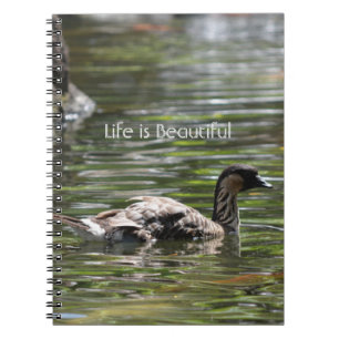 Kauai Hawaii Duck (my photography) Notebook