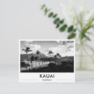 Kauai Hawaii Kalapaki Beach Black and White Postcard