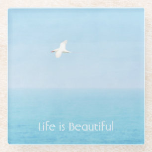 Kauai Hawaii Ocean Red Tailed Tropicbird Flying   Glass Coaster