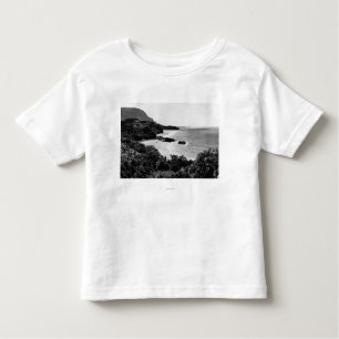 Kauai, Hawaii - View of Lumahai Bay & Beach Toddler T-Shirt
