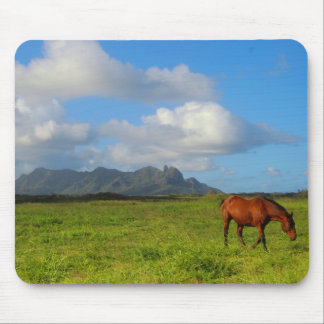 Kauai Horse Vista Mouse Pad