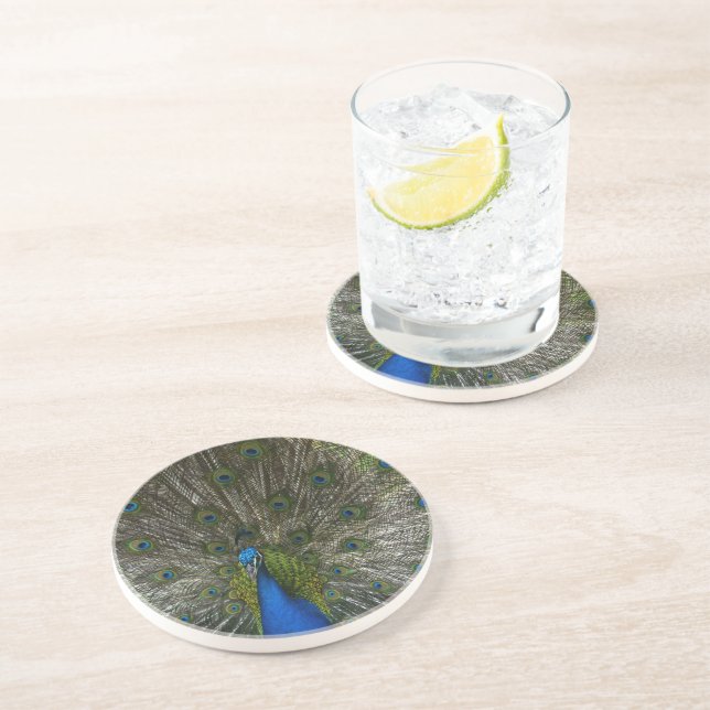 Kauai Peacock Coaster (Side)