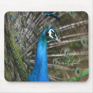 Kauai Peacock  Mouse Pad