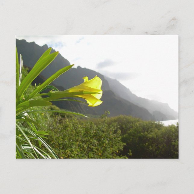 Kauai postcard (Front)