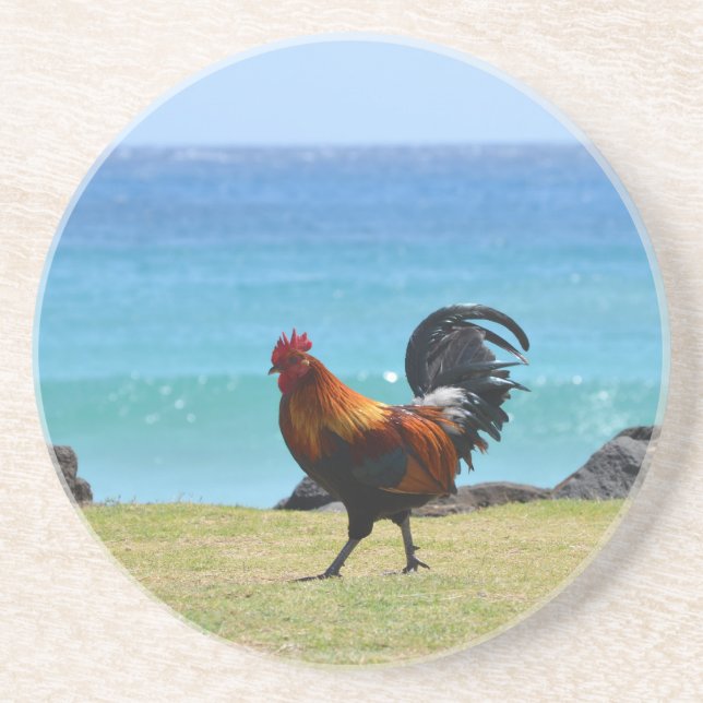 Kauai rooster coaster (Front)