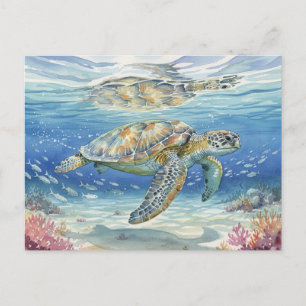 Kauai  Sea Turtles Submerged under the sea Postcard