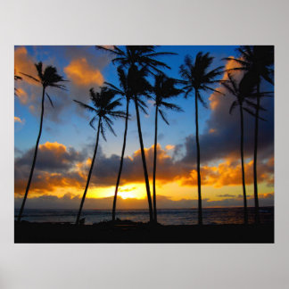Kauai Sunrise Poster