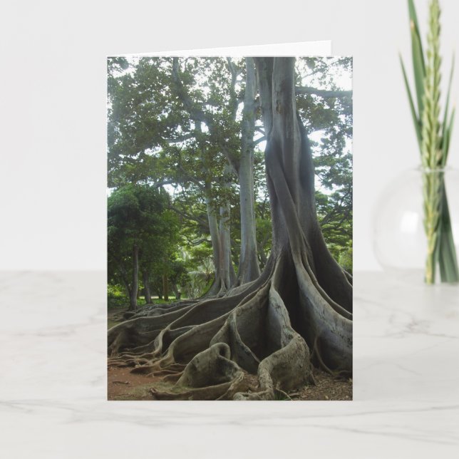 Kauai Tree from Jurassic Park (eggs) Card (Front)