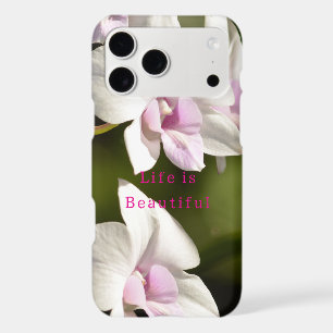 Kauai White Pink Orchids (photo taken by me)