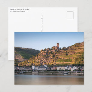 Kaub am Rhein Germany Postcard