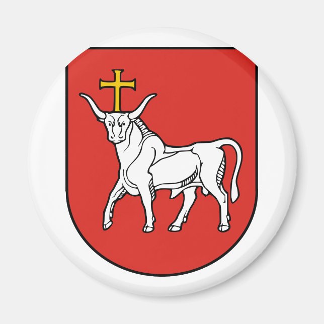 Kaunas city, Lithuania Magnet (Front)
