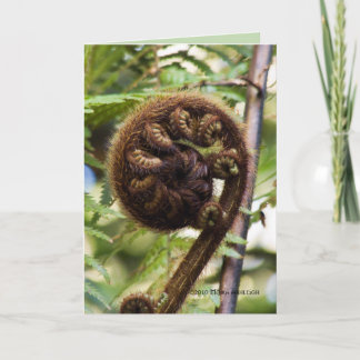 Kauri Forest Fern Card