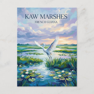 Kaw Marshes French Guiana Postcard