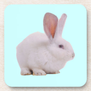Kawaii Cute Bunny Rabbit Coaster