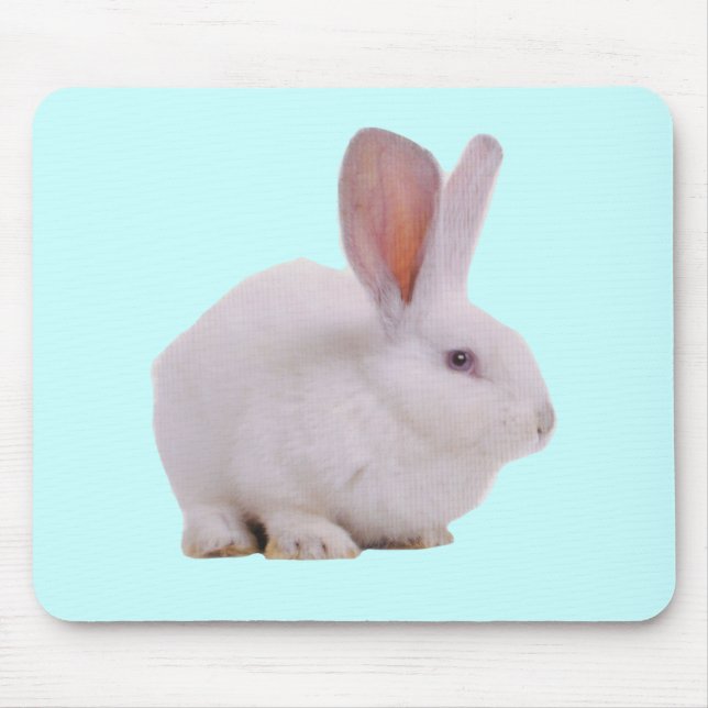 Kawaii Cute Bunny Rabbit Mouse Pad (Front)
