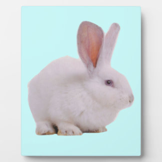 Kawaii Cute Bunny Rabbit Plaque