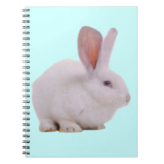Kawaii Cute Bunny Rabbit Spiral Notebook