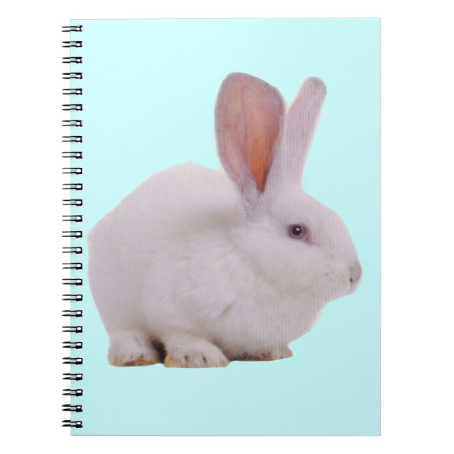 Kawaii Cute Bunny Rabbit Spiral Notebook (Front)