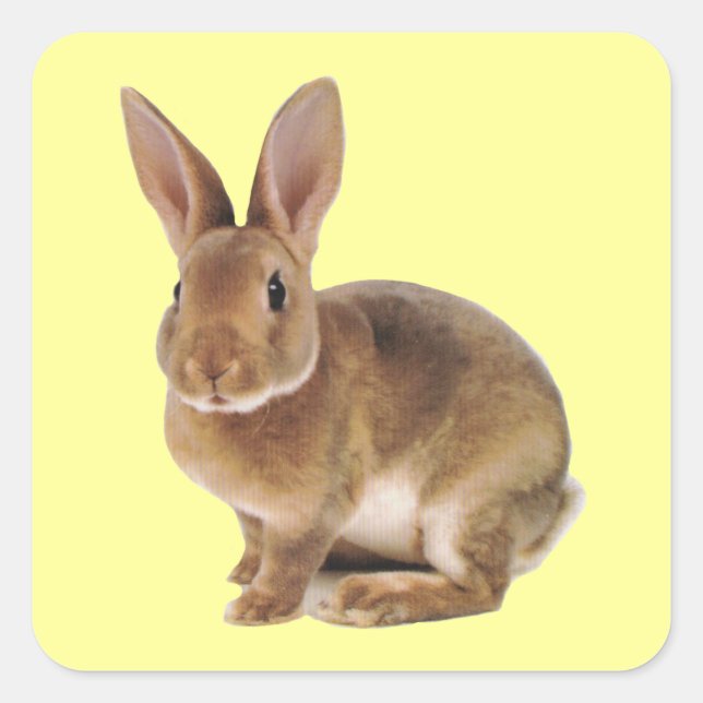 Kawaii Cute Bunny Rabbit Square Sticker (Front)
