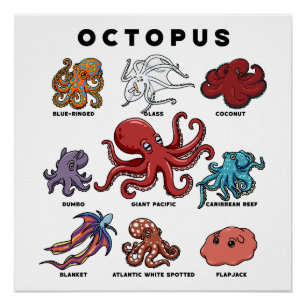 Kawaii Octopus of the Worlds Poster