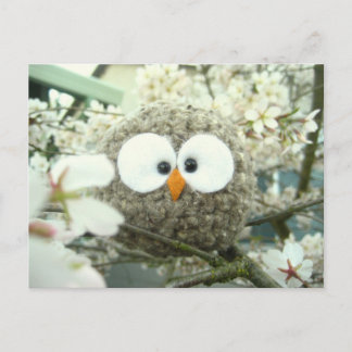 Kawaii Oliver the Owl Postcard